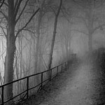 Ref : n509  - Canon EOS-1D MarkII - 35mm - Alsace, Mars 2006<p class='text'>Un étrange chemin<p>Je longe ce chemin, guidé de la rembarde, barreau après barreau...<br>Un chemin de brouillard et sans plus d'horizon que celui de mon rêve,<br>Que je dessine, jour à jour, d'une incertaine plume sur un coton de brume...<br><br>Je marche, le pas lent, sur ce chemin sans ombre ni lumière,<br>Je marche sans frémir dans la brume sans fin qui avale mes jours<br>Et me perds aux volutes de ce nuage étrange qui caresse mon âme de son acre douceur.<p align='right'><a href='achat2012fr.php?ref=N509'>[ Commander un tirage</a><img src='images/cart.png' align='absmiddle'><a href='achat2012eng.php?ref=N509'>Order a print ]</a>