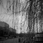 Ref : n369 - Leica M8 - Summicron 35mm asph<p class='text'>Paris<p align='right'><a href='achat2012fr.php?ref=N369'>[ Commander un tirage</a><img src='images/cart.png' align='absmiddle'><a href='achat2012eng.php?ref=N369'>Order a print ]</a>