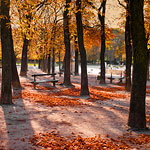 Ref : C600 - Leica M8 - Summicron 35mm ASPH - 21 Octobre 2010<p class='text'>Le Luxembourg en Automne, Paris<p align='right'><a href='achat2012fr.php?ref=C600'>[ Commander un tirage</a><img src='images/cart.png' align='absmiddle'><a href='achat2012eng.php?ref=C600'>Order a print ]</a>