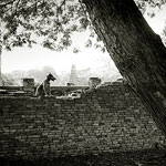 Ref : n563 - Leica M8 - Summicron 35mm - 17 Mars 2012<p class='text'>Ayutthaya, Thailande<p align='right'><a href='achat2012fr.php?ref=N563'>[ Commander un tirage</a><img src='images/cart.png' align='absmiddle'><a href='achat2012eng.php?ref=N563'>Order a print ]</a>
