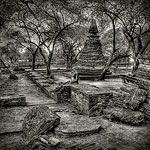 Ref : n336 - Nikon D300 - Nikkor 18-200mm<p class='text'>Ayutthaya, Thaïlande<p align='right'><a href='achat2012fr.php?ref=N336'>[ Commander un tirage</a><img src='images/cart.png' align='absmiddle'><a href='achat2012eng.php?ref=N336'>Order a print ]</a>