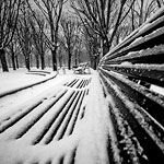 Ref : n447  - Nikon D300 - Sigma 10-20mm - 4 Décembre 2010<p class='text'>Jardin du Luxembourg, Paris<p align='right'><a href='achat2012fr.php?ref=N447'>[ Commander un tirage</a><img src='images/cart.png' align='absmiddle'><a href='achat2012eng.php?ref=N447'>Order a print ]</a>