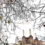 Ref : C401 - Nikon D300 - Sigma 10-20mm<p class='text'>Londres, Angleterre<p align='right'><a href='achat2012fr.php?ref=C401'>[ Commander un tirage</a><img src='images/cart.png' align='absmiddle'><a href='achat2012eng.php?ref=C401'>Order a print ]</a>