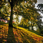 Ref : C387 - Nikon D300 - Nikkor 18-200mm<p class='text'>Londres, Angleterre<p align='right'><a href='achat2012fr.php?ref=C387'>[ Commander un tirage</a><img src='images/cart.png' align='absmiddle'><a href='achat2012eng.php?ref=C387'>Order a print ]</a>