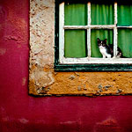 Ref : C584 - Leica M8 - Summicron 35mm ASPH - Août 2010<p class='text'>Dans une ruelle... Lisbonne, Portugal<p align='right'><a href='achat2012fr.php?ref=C584'>[ Commander un tirage</a><img src='images/cart.png' align='absmiddle'><a href='achat2012eng.php?ref=C584'>Order a print ]</a>