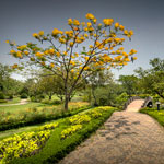 Ref : C420 - Nikon D300 - Sigma 10-20mm<p class='text'>Chatuchak Park, Bangkok, Thaïlande<p align='right'><a href='achat2012fr.php?ref=C420'>[ Commander un tirage</a><img src='images/cart.png' align='absmiddle'><a href='achat2012eng.php?ref=C420'>Order a print ]</a>