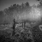 Ref : n581 - Nikon D70 - Nikkor 18-70mm - 26 Décembre 2005<p class='text'>Froid chemin d'Auvergne<p align='right'><a href='achat2012fr.php?ref=N581'>[ Commander un tirage</a><img src='images/cart.png' align='absmiddle'><a href='achat2012eng.php?ref=N581'>Order a print ]</a>