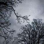 Ref : n383 - Leica M8 - Summicron 35mm asph<p class='text'>Dunstable, Angleterre