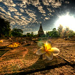 Ref : C494 - Nikon D300 - Sigma 10-20mm - Octobre 2009<p class='text'>Fleur dans les ruines à Tha Khan, Thaïlande du nord<p align='right'><a href='achat2012fr.php?ref=C494'>[ Commander un tirage</a><img src='images/cart.png' align='absmiddle'><a href='achat2012eng.php?ref=C494'>Order a print ]</a>