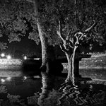 Ref : n527 - Nikon D300 - Nikkor 18-200mm - Oct. 2011<p class='text'>Inondations - Ayutthaya, Thailande<p align='right'><a href='achat2012fr.php?ref=N527'>[ Commander un tirage</a><img src='images/cart.png' align='absmiddle'><a href='achat2012eng.php?ref=N527'>Order a print ]</a>