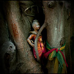 Ref : C593 - Leica M8 - Summicron 35mm ASPH - Septembre 2010<p class='text'>Statue dans un arbre à Bangkok, Thaïlande<p align='right'><a href='achat2012fr.php?ref=C593'>[ Commander un tirage</a><img src='images/cart.png' align='absmiddle'><a href='achat2012eng.php?ref=C593'>Order a print ]</a>