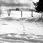 Ref : n26 - Nikon F2 - Nikkor 28mm<p class='text'>Jura Suisse<p align='right'><a href='achat2012fr.php?ref=N26'>[ Commander un tirage</a><img src='images/cart.png' align='absmiddle'><a href='achat2012eng.php?ref=N26'>Order a print ]</a>