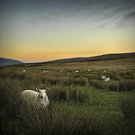Ref : C249 - Nikon D70 - Nikkor 18-70mm<p class='text'>Paysage du Cumbria, Nord de l'Angleterre<p align='right'><a href='achat2012fr.php?ref=C249'>[ Commander un tirage</a><img src='images/cart.png' align='absmiddle'><a href='achat2012eng.php?ref=C249'>Order a print ]</a>