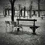 Ref : n593 - Leica M8 - Summicron 35mm - 13 octobre 2012<p class='text'>Jardin du Luxembourg, Paris<div Style='position: absolute; top: 8px; right: 0px;'><a href='http://goo.gl/maps/iJKoW' target='_blank'><img src='thumbs/pin.png' align='absmiddle'/></a></div><p align='right'><a href='achat2012fr.php?ref=N593'>[ Commander un tirage</a><img src='images/cart.png' align='absmiddle'><a href='achat2012eng.php?ref=N593'>Order a print ]</a>