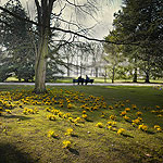 Ref : C306 - Nikon D300 - Sigma 10-20mm<p class='text'>Jardins du Luxembourg, Paris<p align='right'><a href='achat2012fr.php?ref=C306'>[ Commander un tirage</a><img src='images/cart.png' align='absmiddle'><a href='achat2012eng.php?ref=C306'>Order a print ]</a>
