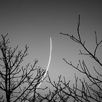 Ref : N611 - Nikon D800 - Nikkor 35-70mm f/3.3-4.5 AIS - 15 Décembre 2013<p class='text'>Paris<p align='right'><a href='achat2012fr.php?ref=n611'>[ Commander un tirage</a><img src='images/cart.png' align='absmiddle'><a href='achat2012eng.php?ref=n611'>Order a print ]</a>