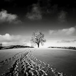 Ref : N612 - Nikon D800 - Nikkor 35-70mm f/3.3-4.5 AIS - 30 Décembre 2013 - 12:39<p class='text'>Le Crozot, Suisse<p align='right'><a href='achat2012fr.php?ref=n612'>[ Commander un tirage</a><img src='images/cart.png' align='absmiddle'><a href='achat2012eng.php?ref=n612'>Order a print ]</a><p><iframe width='560' height='315' src='http://www.youtube.com/embed/_e2JfjO1Jm4?rel=0' frameborder='0'></iframe><br>Vidéo lors de la prise de vue...