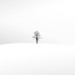 Ref : N614 - Nikon D800 - Nikkor 35-70mm f/3.3-4.5 AIS - 31 Décembre 2013<p class='text'>Isolé.<p align='right'><a href='achat2012fr_new.php?ref=n615'>[ Commander un tirage</a><img src='images/cart.png' align='absmiddle'><a href='achat2012eng_new.php?ref=n615'>Order a print ]</a>