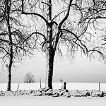 Ref : n597 - Nikon D800 - Nikkor 35mm 1.8G - 2 Janvier 2013<p class='text'>Le Crozot, Suisse.<p align='right'><a href='achat2012fr.php?ref=N597'>[ Commander un tirage</a><img src='images/cart.png' align='absmiddle'><a href='achat2012eng.php?ref=N597'>Order a print ]</a><div align='left'><img src='images/sojie19solo.gif'/></div>
