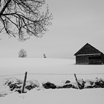 Ref : n596 - Nikon D800 - Nikkor 35mm 1.8G  - 1 Janvier 2013 - <a href='http://maps.google.com/maps?q=Le+Crozot,+Le+Locle,+Suisse&hl=fr&ie=UTF8&ll=47.033843,6.725167&spn=0.001574,0.004128&sll=37.0625,-95.677068&sspn=58.988897,135.263672&oq=le+crozot&hnear=Le+Crozot,+Le+Locle,+Neuch%C3%A2tel,+Suisse&t=h&z=19' target='_blank'>GoogleMaps</a><p class='text'>Neige, Le Crozot, Jura Suisse.<p align='right'><a href='achat2012fr.php?ref=N596'>[ Commander un tirage</a><img src='images/cart.png' align='absmiddle'><a href='achat2012eng.php?ref=N596'>Order a print ]</a>