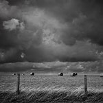 Ref : n583 - Leica M8 - Summicron 35mm - Août 2012<p class='text'>Nord de l'Angleterre<p align='right'><a href='achat2012fr.php?ref=N583'>[ Commander un tirage</a><img src='images/cart.png' align='absmiddle'><a href='achat2012eng.php?ref=N583'>Order a print ]</a>
