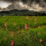 Ref : C485 - Nikon D300 - Sigma 10-20mm<p class='text'>Paï, Thaïlande<p align='right'><a href='achat2012fr.php?ref=C485'>[ Commander un tirage</a><img src='images/cart.png' align='absmiddle'><a href='achat2012eng.php?ref=C485'>Order a print ]</a>