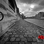 Ref : n158 - Nikon D300 - Sigma 10-20mm<p class='text'>Comme un amour abandonné... Paris<p align='right'><a href='achat2012fr.php?ref=N158'>[ Commander un tirage</a><img src='images/cart.png' align='absmiddle'><a href='achat2012eng.php?ref=N158'>Order a print ]</a>