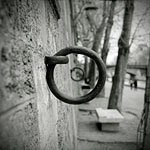 Ref : n419 - Leica M8 - Summicron 35mm asph<p class='text'>Quais de la Seine, Paris<p align='right'><a href='achat2012fr.php?ref=N419'>[ Commander un tirage</a><img src='images/cart.png' align='absmiddle'><a href='achat2012eng.php?ref=N419'>Order a print ]</a>