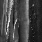 Ref : n83 - Nikon D70 - Nikkor 18-70mm<p class='text'>Stalagtites d'une cascade gelée dans le Lubéron, France - 2004<p align='right'><a href='achat2012fr.php?ref=N83'>[ Commander un tirage</a><img src='images/cart.png' align='absmiddle'><a href='achat2012eng.php?ref=N83'>Order a print ]</a>