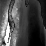 Ref : n80 - Nikon D70 - Nikkor 18-70mm<p class='text'>Stalagtites, Lubéron, France - 2004<p align='right'><a href='achat2012fr.php?ref=N80'>[ Commander un tirage</a><img src='images/cart.png' align='absmiddle'><a href='achat2012eng.php?ref=N80'>Order a print ]</a>