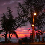 Ref : C178 - Nikon D70 - Nikkor 18-70mm<p class='text'>Île de la Réunion<p align='right'><a href='achat2012fr.php?ref=C178'>[ Commander un tirage</a><img src='images/cart.png' align='absmiddle'><a href='achat2012eng.php?ref=C178'>Order a print ]</a>