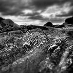 Ref : n311 - Nikon D300 - Sigma 10-20mm<p class='text'>Torrent, Lakes district, Angleterre<p align='right'><a href='achat2012fr.php?ref=N311'>[ Commander un tirage</a><img src='images/cart.png' align='absmiddle'><a href='achat2012eng.php?ref=N311'>Order a print ]</a>