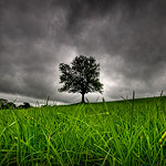 Ref : C466 - Nikon D300 - Sigma 10-20mm - Août 2009 - <a href='http://maps.google.fr/maps?ll=54.194151,-2.5917856&z=18&t=h&hl=fr' target='_blank'>GoogleMaps</a><p class='text'>North Yorkshire, Angleterre<p align='right'><a href='achat2012fr_colibris.php?ref=c466'>[ Commander un tirage<span>Les bénefices de cette photo seront reversés à l'association Colibris.</span></a><img src='images/cart.png' align='absmiddle'><a href='achat2012eng.php?ref=c466'>Order a print ]</a><div align='right' Style='position: relative; top: -80px; right: 0px;'><a href='http://www.colibris-lemouvement.org' target='_blank'><img src='thumbs/colibris_100.png'></a></div>