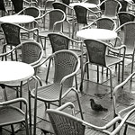 Ref : n530 - Leica M8 - Summicron 35mm - Mai 2010<p class='text'>Place San Marco, Venise.<p align='right'><a href='achat2012fr.php?ref=N530'>[ Commander un tirage</a><img src='images/cart.png' align='absmiddle'><a href='achat2012eng.php?ref=N530'>Order a print ]</a>