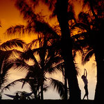 Ref : C470 - Nikon D70 - Nikkor 18-70mm<p class='text'>Île de la Réunion<p align='right'><a href='achat2012fr.php?ref=C470'>[ Commander un tirage</a><img src='images/cart.png' align='absmiddle'><a href='achat2012eng.php?ref=C470'>Order a print ]</a>