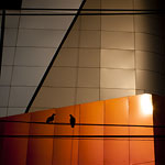 Ref : C706 - Leica M8 - Summicron 35mm - 02 mars 2012 <div Style='position: absolute; top: 8px; right: 0px;'><a href='http://goo.gl/maps/TS68V' target='_blank'><img src='thumbs/pin.png' align='absmiddle'/></a>  <a href='exif_more.php?ex=c706&lo=http://goo.gl/maps/TS68V'><img src='thumbs/cam.png' align='absmiddle'/></a></div><p class='text'>Central Plazza, Bangkok<p align='right'><a href='achat2012fr_new.php?ref=c706'>[ Commander un tirage</a><img src='images/cart.png' align='absmiddle'><a href='achat2012eng_new.php?ref=c706'>Order a print ]</a>