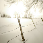 Ref : C725 - Sony α7 - Nokton 50mm 1.1 - 28 Décembre 2014<div Style='position: absolute; top: 8px; right: 0px;'><a href='seemap+.php?ex=c725&adr=47.034648, 6.725067'><img src='thumbs/pin.png' align='absmiddle'/></a></div><p class='text'>Barrière. Suisse.<p align='right'><a href='achat2012fr_new.php?ref=c725'>[ Commander un tirage</a><img src='images/cart.png' align='absmiddle'><a href='achat2012eng_new.php?ref=c725'>Order a print ]</a>