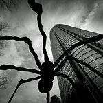 Ref : N635 - Nikon D7000 - Sigma 10-20mm - 14 Janvier 2012<div Style='position: absolute; top: 8px; right: 0px;'><a href='seemap+.php?adr=Roppongi Hills, Tokyo'><img src='thumbs/pin.png' align='absmiddle'/></a>  <a href='exif_more+.php?ex=n635&adr=Roppongi Hills, Tokyo'><img src='thumbs/cam.png' align='absmiddle'/></a></div><p class='text'>Spider. Roppongi Hills, Tokyo<p align='right'><a href='achat2012fr_new.php?ref=n635'>[ Commander un tirage</a><img src='images/cart.png' align='absmiddle'><a href='achat2012eng_new.php?ref=n635'>Order a print ]</a>