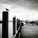 Ref : N645 - Leica M8 - Summicron 35mm - 8 août 2013<div Style='position: absolute; top: 8px; right: 0px;'><a href='seemap+.php?adr=Quai du Port 10, 2000 Neuchâtel, Suisse'><img src='thumbs/pin.png' align='absmiddle'/></a>  <a href='exif_more+.php?ex=n645&adr=Quai du Port 10, 2000 Neuchâtel, Suisse'><img src='thumbs/cam.png' align='absmiddle'/></a></div><p class='text'>Attente. Neuchâtel, Suisse.<p align='right'><a href='achat2012fr_new.php?ref=n645'>[ Commander un tirage</a><img src='images/cart.png' align='absmiddle'><a href='achat2012eng_new.php?ref=n645'>Order a print ]</a>