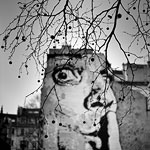 Ref : N654 - Sony α7 - Nokton 50mm 1.1  - 03 Mars 2015<div Style='position: absolute; top: 8px; right: 0px;'><a href='seemap+.php?ex=n653&adr=48.859147, 2.351463'><img src='thumbs/pin.png' align='absmiddle'/></a></div><p class='text'>Chut! Les Halles, Paris.<p align='right'><a href='achat2012fr_new.php?ref=n654'>[ Commander un tirage</a><img src='images/cart.png' align='absmiddle'><a href='achat2012eng_new.php?ref=n654'>Order a print ]</a>