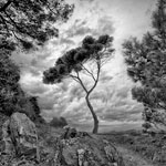 Ref : N711 - Sony α7 RII - Zeiss 16-35mm F4 ZA OSS - 13 septembre 2018 <p class='text'>Hommage. Presqu'île de Giens.<div Style='position: absolute; top: 8px; right: 0px;'><a href='seemap+.php?ex=n711&adr=43.035163, 6.155538'><img src='thumbs/pin.png' align='absmiddle'/></a></div><p align='right'><a href='achat2012fr_new.php?ref=n711'>[ Commander un tirage</a><img src='images/cart.png' align='absmiddle'><a href='achat2012eng_new.php?ref=n711'>Order a print ]</a>