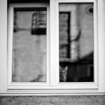 Ref : N715 - Sony α7 - Voigtander Nokton 50mm - 1.1 - 13 juin 2019 <p class='text'>Quartier Alfama, Lisbonne, Portugal<div Style='position: absolute; top: 8px; right: 0px;'><a href='seemap+.php?ex=n715&adr=38.717119, -9.132729'><img src='thumbs/pin.png' align='absmiddle'/></a></div><p align='right'><a href='achat2012fr_new.php?ref=n715'>[ Commander un tirage</a><img src='images/cart.png' align='absmiddle'><a href='achat2012eng_new.php?ref=n715'>Order a print ]</a>